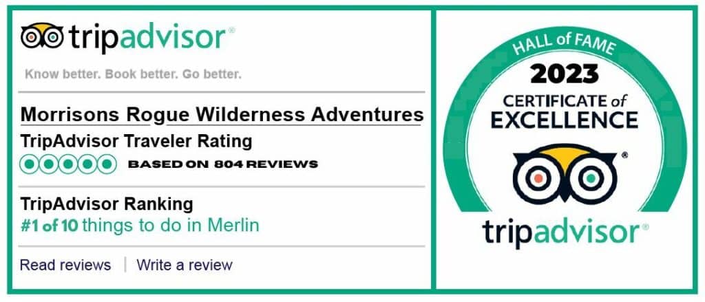 TripAdvisor Reviews. Score of 5 out of 5. 2023 Certificate of Excellence.