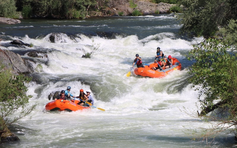 two orange rafts float down the Rogue River